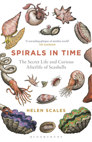 Cover image for 9781472911384 - Spirals in Time