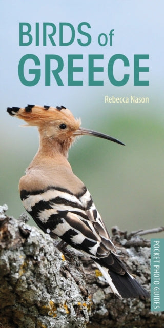 Cover image for 9781472949035 - Birds of Greece