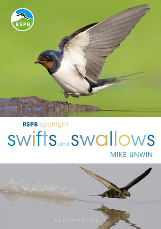 Cover image for 9781472950116 - RSPB Spotlight Swifts and Swallows