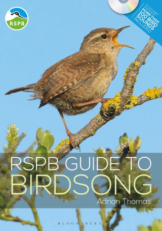Cover image for 9781472955876 - RSPB Guide to Birdsong