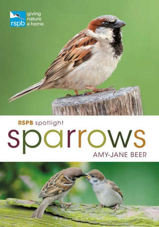 Cover image for 9781472955937 - RSPB Spotlight Sparrows