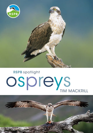 Supplemental image for 9781472956033 - RSPB Spotlight Ospreys