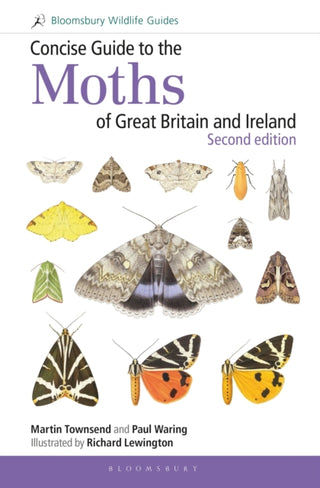 Cover image for 9781472957283 - Concise Guide to the Moths of Great Britain and Ireland: Second edition