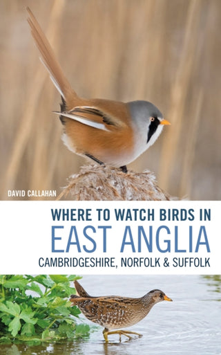 Cover image for 9781472962225 - Where to Watch Birds in East Anglia