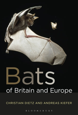 Cover image for 9781472963185 - Bats of Britain and Europe