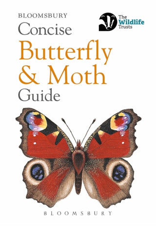 Cover image for 9781472963772 - Concise Butterfly and Moth Guide