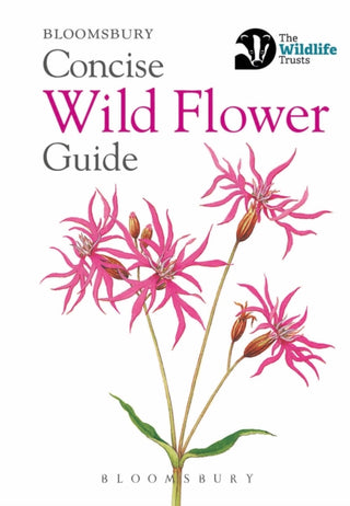 Cover image for 9781472963802 - Concise Wild Flower Guide