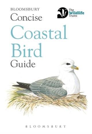Cover image for 9781472963819 - Concise Coastal Bird Guide