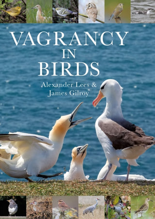 Cover image for 9781472964786 - Vagrancy in Birds