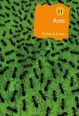 Cover image for 9781472964861 - Ants