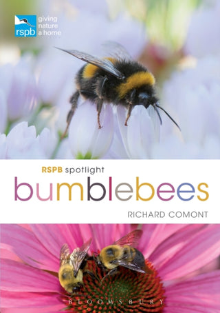 Cover image for 9781472966650 - RSPB Spotlight Bumblebees