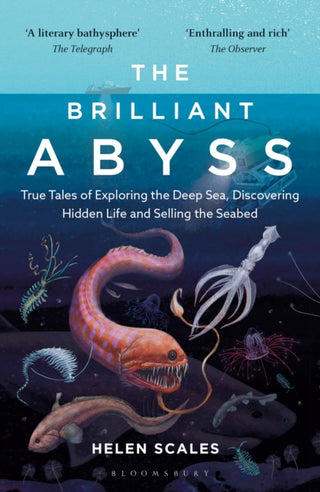 Cover image for 9781472966889 - The Brilliant Abyss