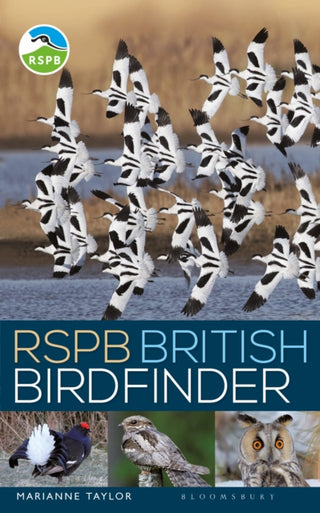 Cover image for 9781472967046 - RSPB British Birdfinder