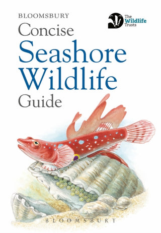 Cover image for 9781472968296 - Concise Seashore Wildlife Guide