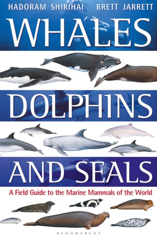 Cover image for 9781472969668 - Whales, Dolphins and Seals