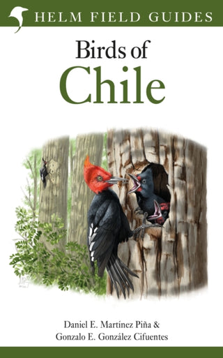 Cover image for 9781472970008 - Field Guide to the Birds of Chile