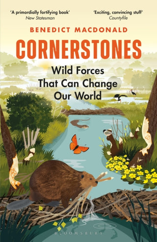 Cover image for 9781472971593 - Cornerstones