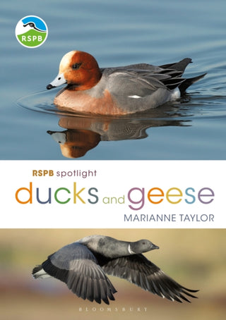 Cover image for 9781472971647 - RSPB Spotlight Ducks and Geese