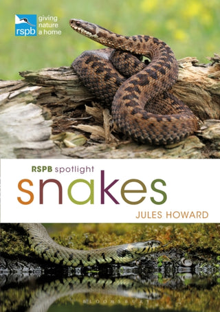 Cover image for 9781472971692 - RSPB Spotlight Snakes
