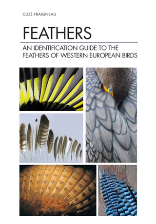 Cover image for 9781472971722 - Feathers