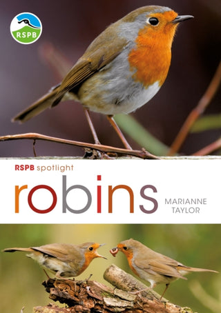 Supplemental image for 9781472971739 - RSPB Spotlight: Robins