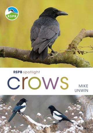Cover image for 9781472971777 - RSPB Spotlight Crows