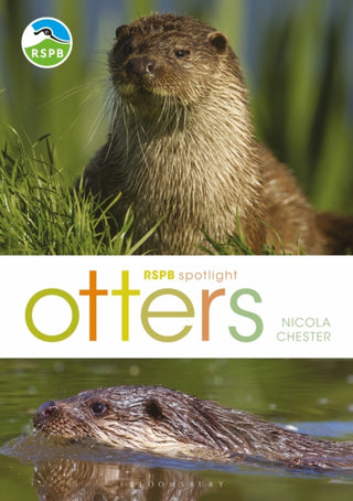 Cover image for 9781472971821 - RSPB Spotlight: Otters
