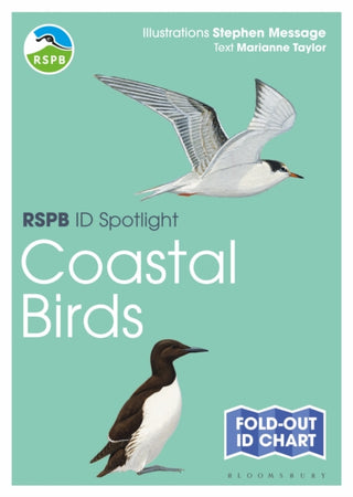 Supplemental image for 9781472974242 - RSPB ID Spotlight - Coastal Birds