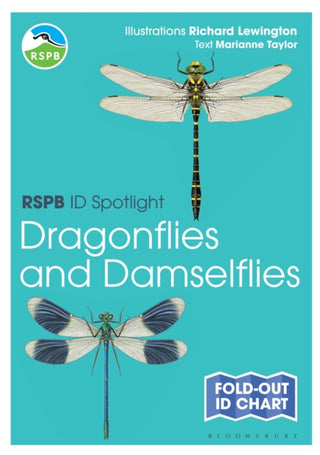 Cover image for 9781472974280 - RSPB ID Spotlight - Dragonflies and Damselflies