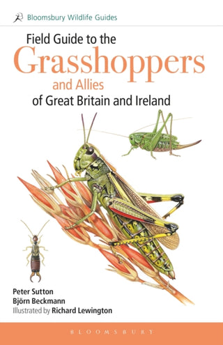 Cover image for 9781472976802 - Field Guide to the Grasshoppers and Allies of Great Britain and Ireland