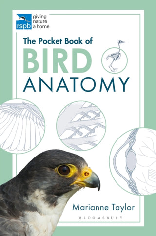 Cover image for 9781472976925 - The Pocket Book of Bird Anatomy