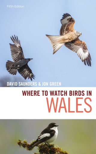 Cover image for 9781472979513 - Where to Watch Birds in Wales