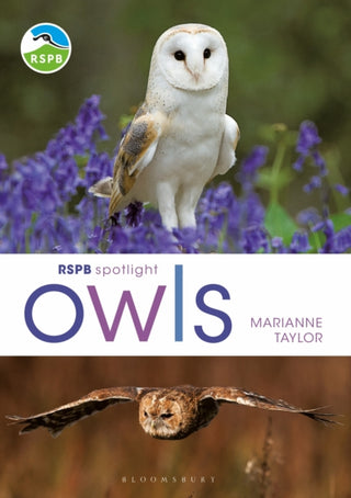 Cover image for 9781472980281 - RSPB Spotlight Owls