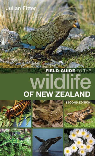 Cover image for 9781472981271 - Field Guide to the Wildlife of New Zealand