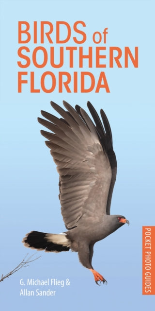 Cover image for 9781472982551 - Birds of Southern Florida
