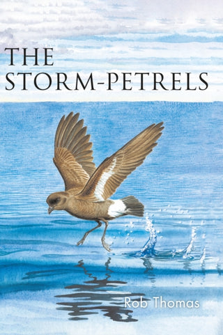 Cover image for 9781472985828 - The Storm-petrels