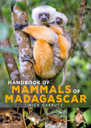 Supplemental image for 9781472985934 - Handbook of Mammals of Madagascar