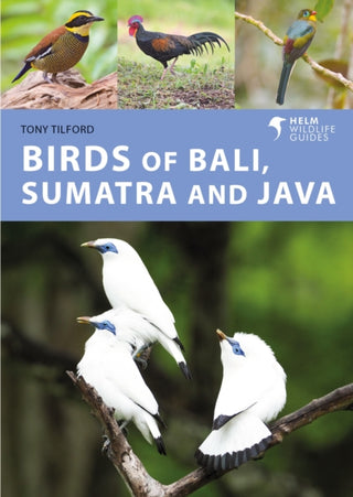 Cover image for 9781472986870 - Birds of Bali, Sumatra and Java