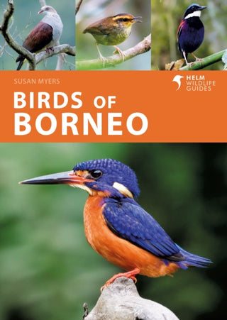 Supplemental image for 9781472986900 - Birds of Borneo