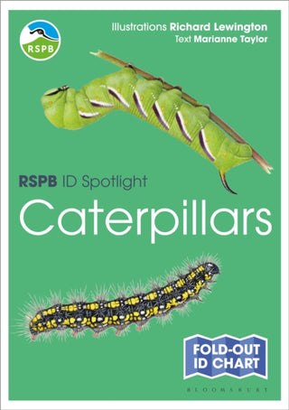 Cover image for 9781472989116 - RSPB ID Spotlight - Caterpillars