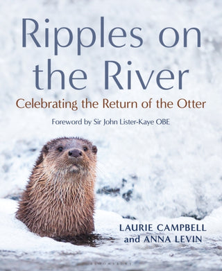 Cover image for 9781472989154 - Ripples on the River