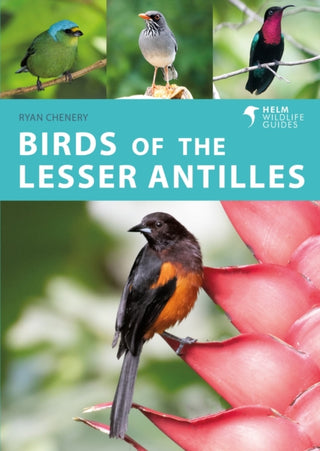 Cover image for 9781472989611 - Birds of the Lesser Antilles