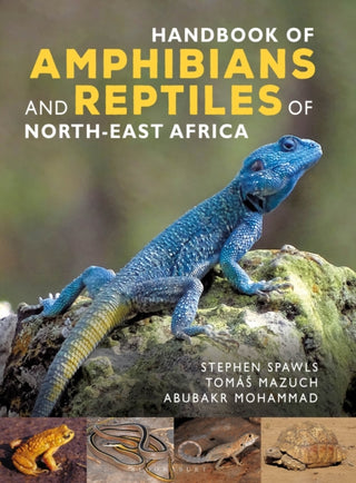 Cover image for 9781472991447 - Handbook of Amphibians and Reptiles of North-east Africa