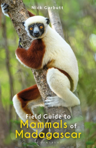 Cover image for 9781472991676 - Field Guide to Mammals of Madagascar