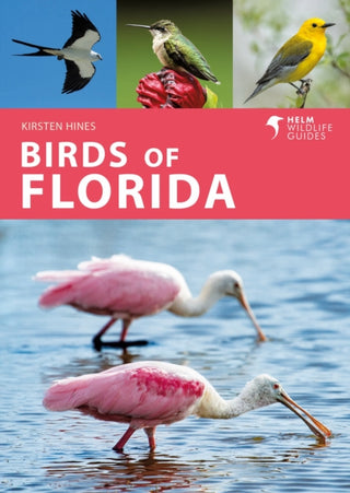 Cover image for 9781472993359 - Birds of Florida