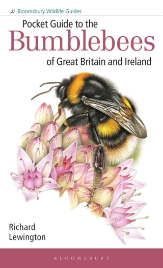Cover image for 9781472993595 - Pocket Guide to the Bumblebees of Great Britain and Ireland