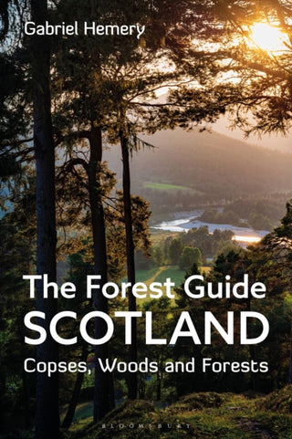 Cover image for 9781472994646 - The Forest Guide: Scotland