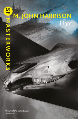Cover image for 9781473227675 - Light