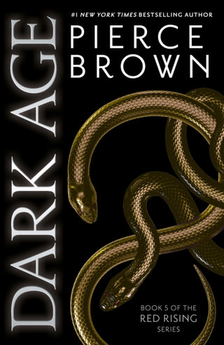 Cover image for 9781473646780 - Dark Age