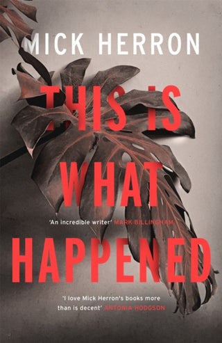 Cover image for 9781473657359 - This is What Happened
